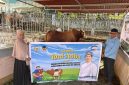 Dok : Proses distribusi bantuan ini dikawal langsung oleh tim relawan bersama tokoh masyarakat setempat