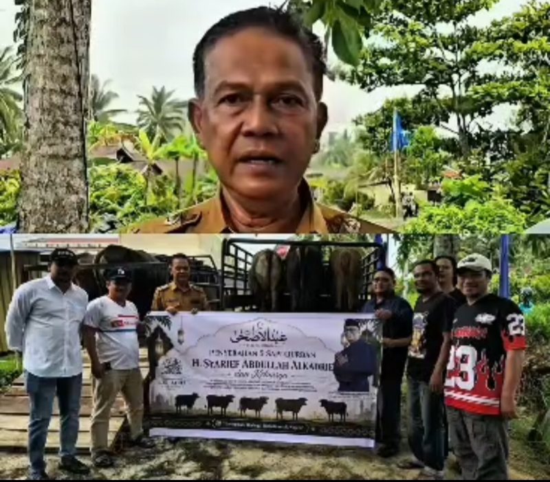 Penyaluran bantuan hewan kurban berupa 5 ekor sapi dari H. Syarief Abdullah Alkadrie Sebagai Anggota DPR RI Dapil Kalimantan Barat I 