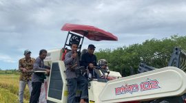Syarif Abdullah Alkadrie, Saat Melakukan prosesi uji coba mesin panen combine harvester di lahan persawahan di Kecamatan Semparuk, Kabupaten Sambas.