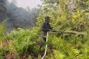 Poto : Masyarakat Peduli Api (MPA) Desa Permata Jaya, para kepala dusun, RT, serta pemilik lahan terus berjibaku melakukan pemadaman di sejumlah titik rawan.