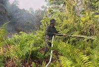 Poto : Masyarakat Peduli Api (MPA) Desa Permata Jaya, para kepala dusun, RT, serta pemilik lahan terus berjibaku melakukan pemadaman di sejumlah titik rawan.