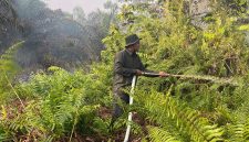Poto : Masyarakat Peduli Api (MPA) Desa Permata Jaya, para kepala dusun, RT, serta pemilik lahan terus berjibaku melakukan pemadaman di sejumlah titik rawan.