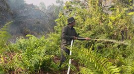 Poto : Masyarakat Peduli Api (MPA) Desa Permata Jaya, para kepala dusun, RT, serta pemilik lahan terus berjibaku melakukan pemadaman di sejumlah titik rawan.