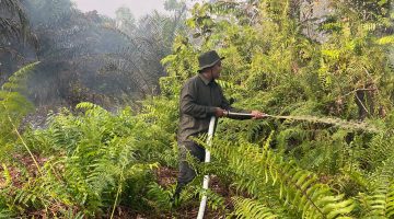 Poto : Masyarakat Peduli Api (MPA) Desa Permata Jaya, para kepala dusun, RT, serta pemilik lahan terus berjibaku melakukan pemadaman di sejumlah titik rawan.