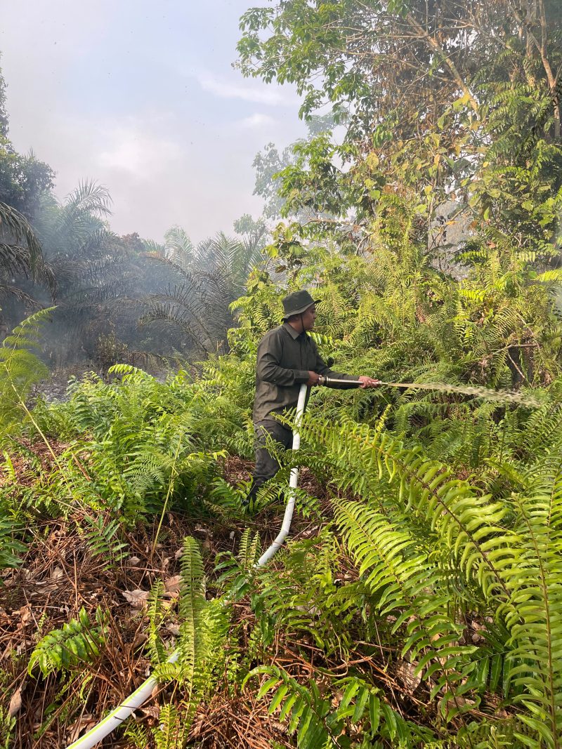 Poto : Masyarakat Peduli Api (MPA) Desa Permata Jaya, para kepala dusun, RT, serta pemilik lahan terus berjibaku melakukan pemadaman di sejumlah titik rawan.