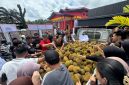 Ratusan warga tampak berkerumun di sekitar mobil bak terbuka yang dipenuhi gunungan durian, saling berebut dengan tertib dan penuh kegembiraan untuk dimakan bersama.
