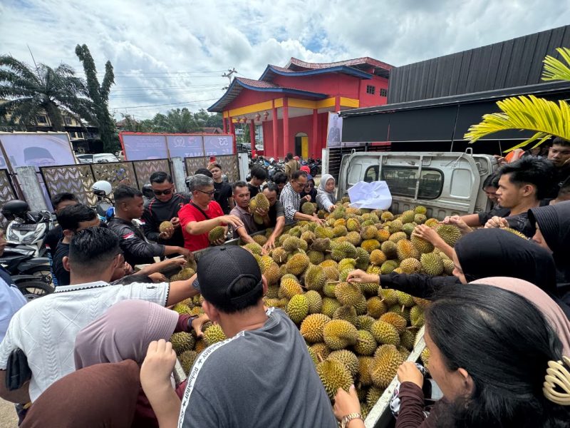 Ratusan warga tampak berkerumun di sekitar mobil bak terbuka yang dipenuhi gunungan durian, saling berebut dengan tertib dan penuh kegembiraan untuk dimakan bersama.
