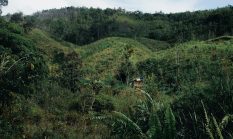 Perkembangan Pembangunan Daerah di Kalimantan Barat dan Dampaknya bagi Masyarakat