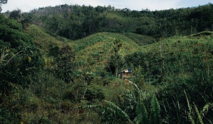 a small hut in the middle of a lush green hillside