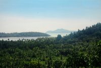 Foto: Bintang Azhar / Unsplash