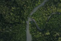 Foto: Yosafat Gusti / Unsplash