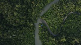 Foto: Yosafat Gusti / Unsplash