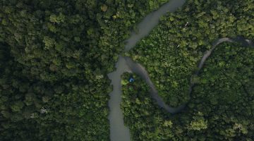 Foto: Yosafat Gusti / Unsplash