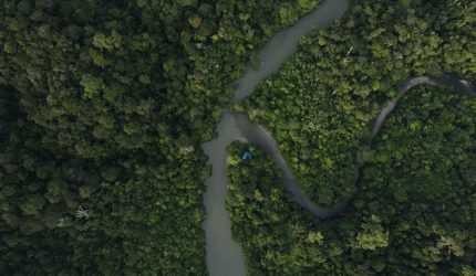 A river running through a lush green forest