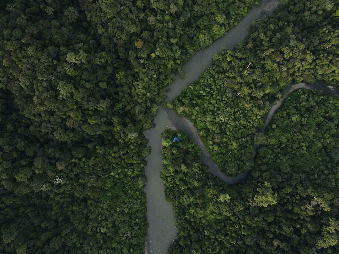 Foto: Yosafat Gusti / Unsplash